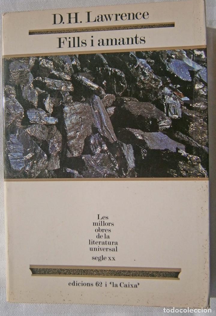 Libros de segunda mano: Fill i amants - D H Lawrence - Foto 1