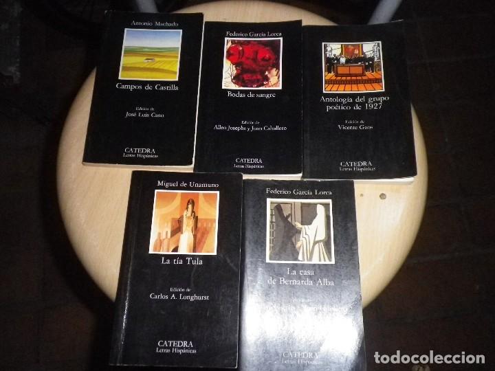 Libros de segunda mano: CATEDRA LETRAS HISPANAS, CAMPOS DE CASTILLA, BODAS DE SANGRE, LA TIA TULA,