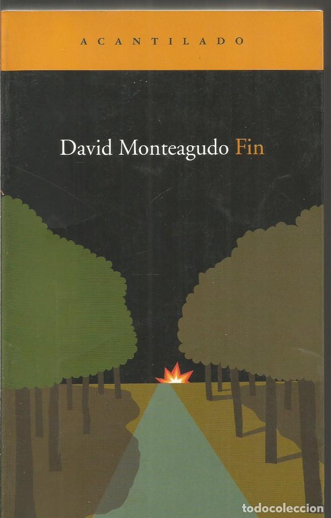 Libros de segunda mano: DAVID MONTEAGUDO. FIN. ACANTILADO - Foto 1