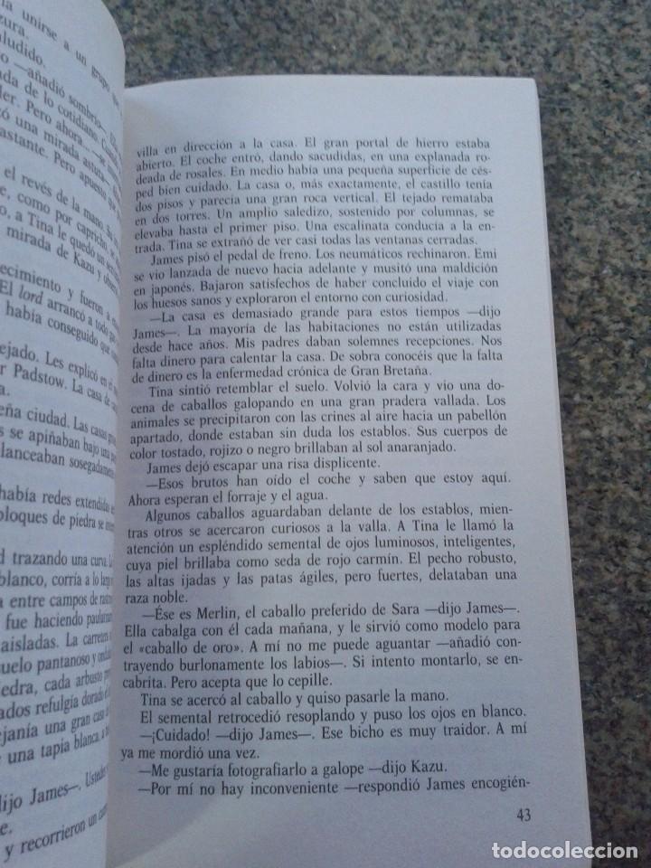Libros de segunda mano: EL CABALLO DE ORO -- FEDERICA DE CESCO -- GRAN ANGULAR -- 1993 -- - Foto 2