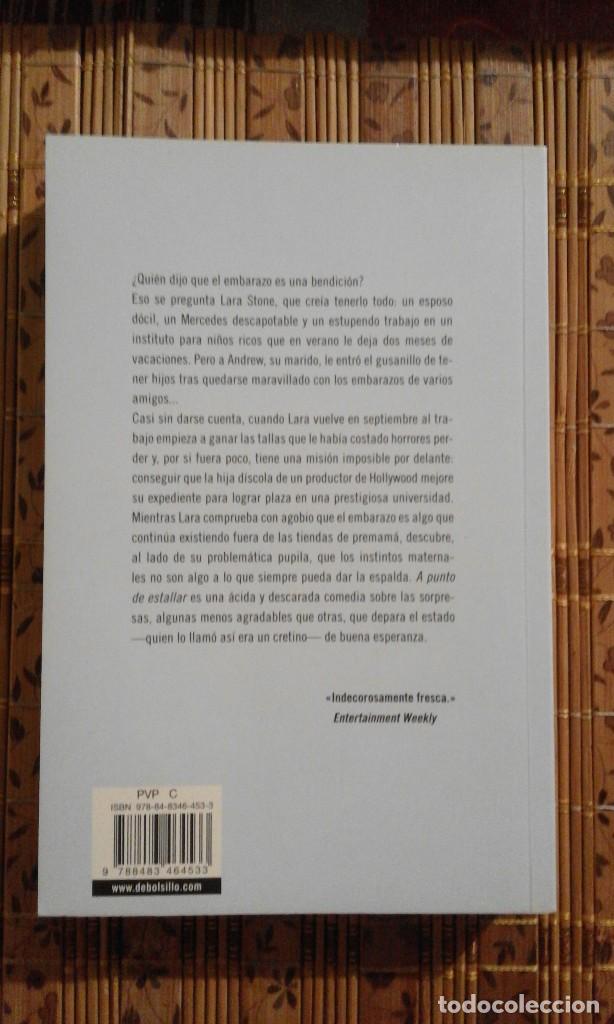 Libros de segunda mano: A punto de estallar - Risa Green - Foto 2