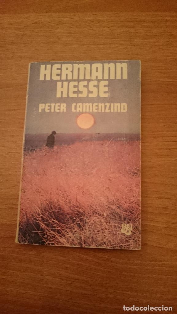 Libros de segunda mano: HERMANN  HESSE - PETER CAMENZIND - Foto 1