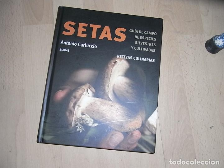 Libros de segunda mano: Antonio Carluccio, Setas, Ed. Blume - Foto 1