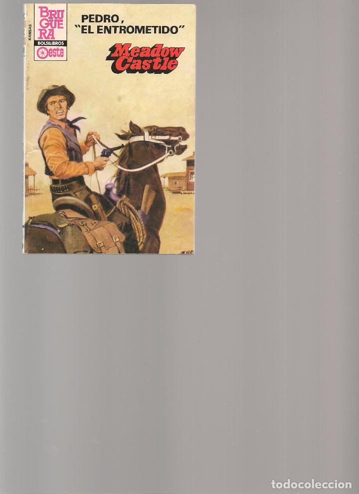 Libros de segunda mano: BOLSILIBROS. KANSAS. N&ordm; 1294. PEDRO, EL ENTROMET&Iacute;DO. MEADOW CASTLE. (P/C11)