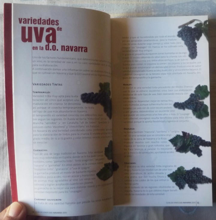 Libros de segunda mano: TRES LIBROS SOBRE VINOS - Foto 13