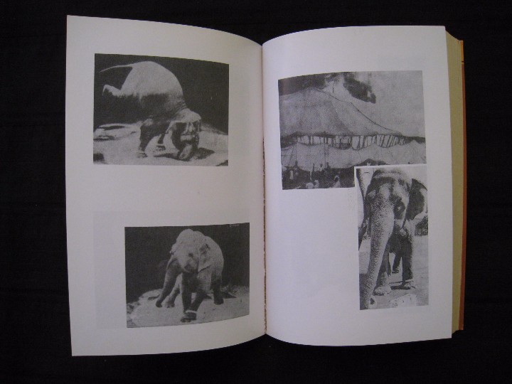 Libros de segunda mano: MODOC - RALPH HELFER - EDICIONES B ARGENTINA S.A. - Foto 10