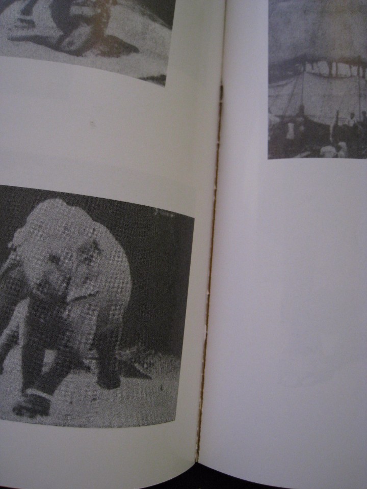 Libros de segunda mano: MODOC - RALPH HELFER - EDICIONES B ARGENTINA S.A. - Foto 11