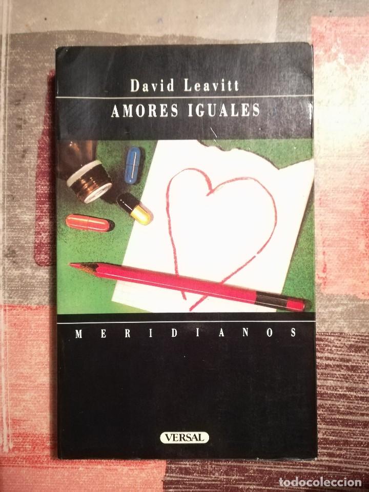 Libros de segunda mano: Amores iguales - David Leavitt - Foto 1