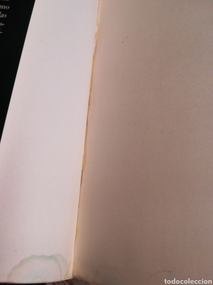 Libros de segunda mano: Amores iguales - David Leavitt - Foto 3