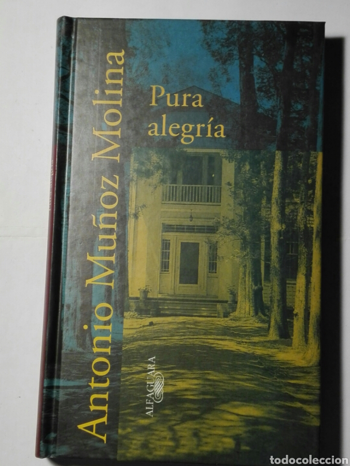 Libros de segunda mano: Pura alegr&iacute;a. - Foto 1