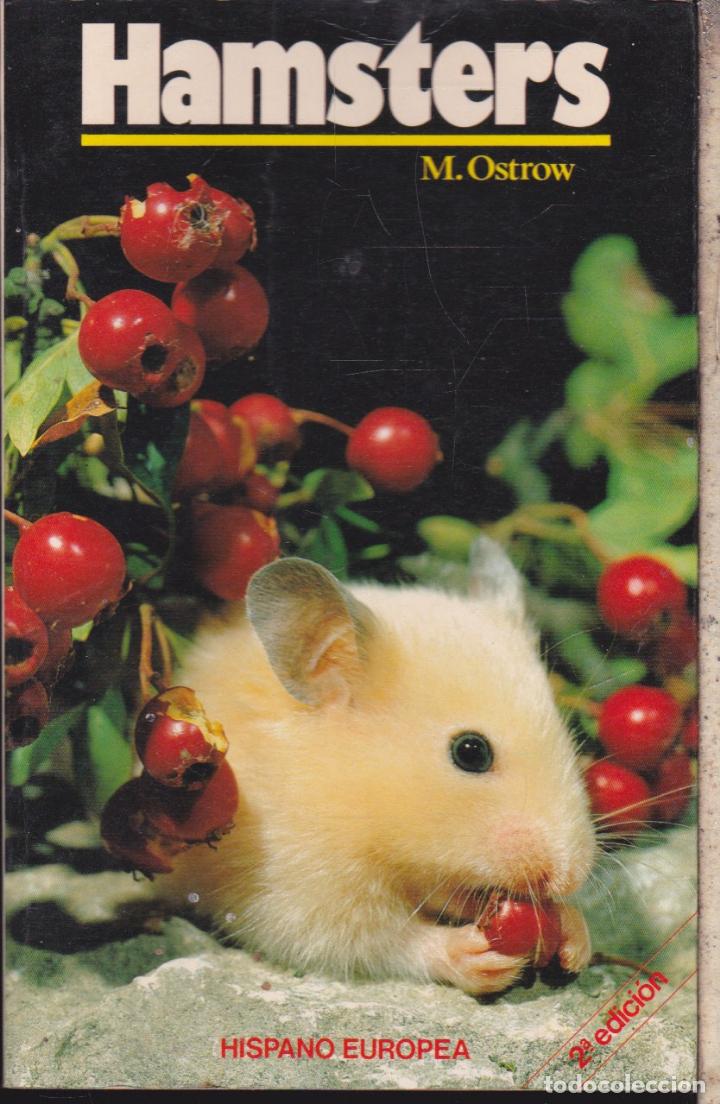 Libros de segunda mano: HAMSTERS  &middot;&middot;&middot;&middot; M. OSTROW . - Foto 1