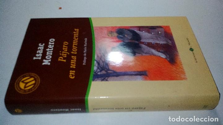 Libri di seconda mano: PAJARO EN UNA TORMENTA-Isaac Montero-Biblioteca El Mundo