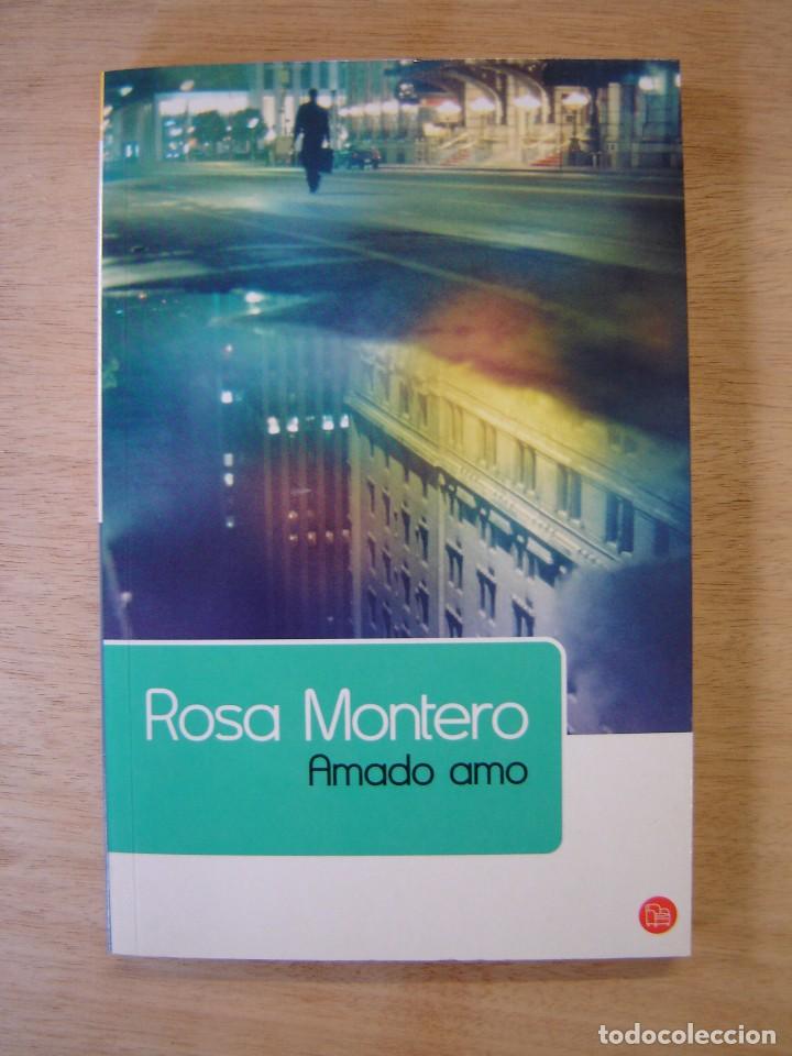 Libros de segunda mano: Amado amo - Rosa Montero - Foto 1