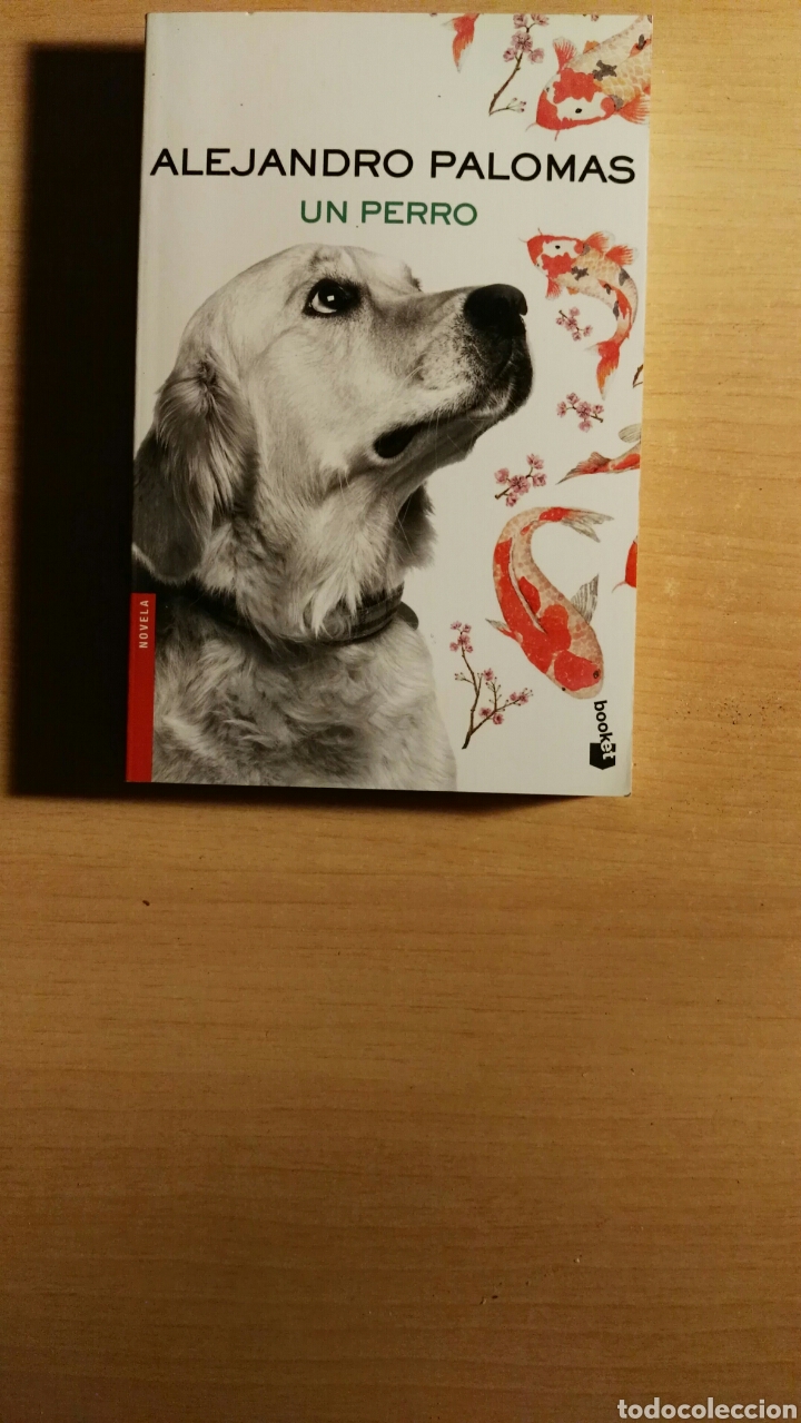 Libros de segunda mano: Un perro - Foto 1