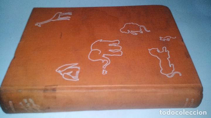 Libri di seconda mano: LA NOVELA DE UN PARQUE ZOOLOGICO-F&eacute;lix SALTEN-Zod&iacute;aco-ILUSTRADA-VER FOTOS