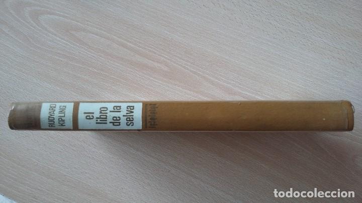 Libros de segunda mano: El Libro de la Selva de Rudyard Kipling 1964. De Circulo de Lectores - Foto 2