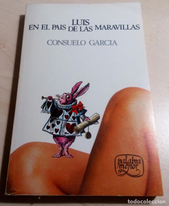 Libros de segunda mano: CONSUELO GARCIA.LUIS EN EL PAIS DE LAS MARAVILLAS.PALABRA MENOR.EDITA LUMEN.(1982)