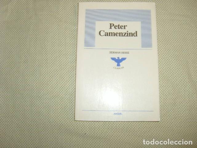 Libros de segunda mano: PETER CAMENZIND , HERMAN HESSE - Foto 1