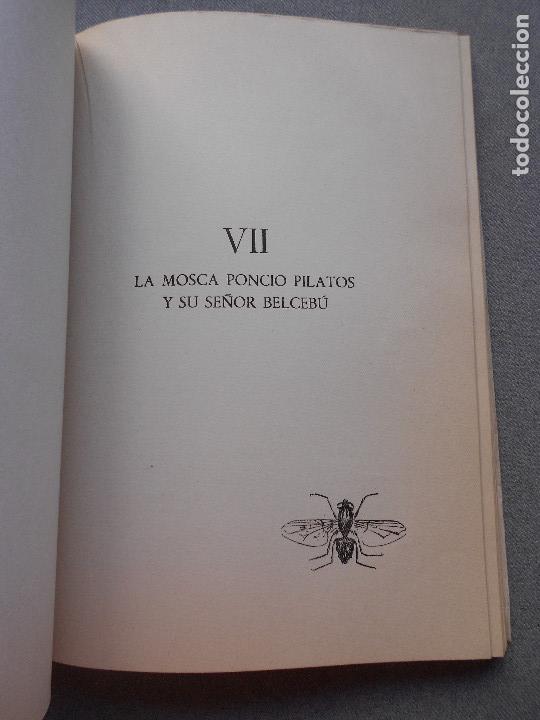 Libros de segunda mano: HISTORIAS DE BICHOS - Foto 5