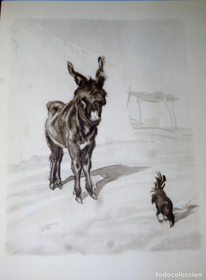 Libros de segunda mano: PLATERO Y YO (ELEG&Iacute;A ANDALUZA) - Foto 4