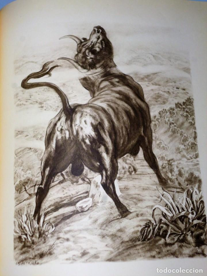 Libros de segunda mano: PLATERO Y YO (ELEG&Iacute;A ANDALUZA) - Foto 12