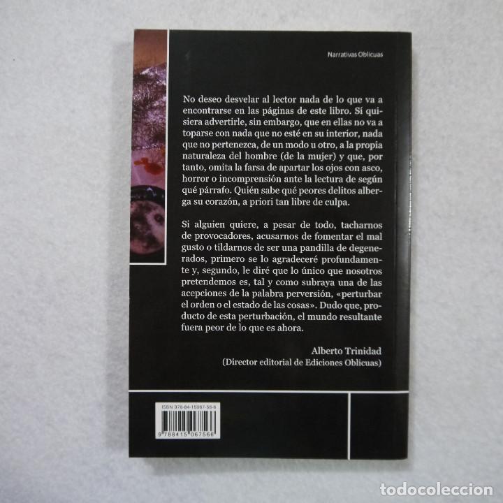 Libros de segunda mano: PERVERSIONES OBLICUAS - VV.AA. - EDICIONES OBLICUAS - 2011 - Foto 2