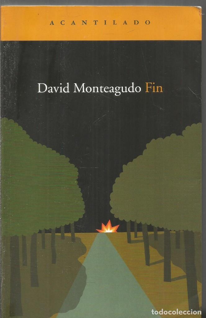 Libros de segunda mano: DAVID MONTEAGUDO. FIN. ACANTILADO - Foto 1