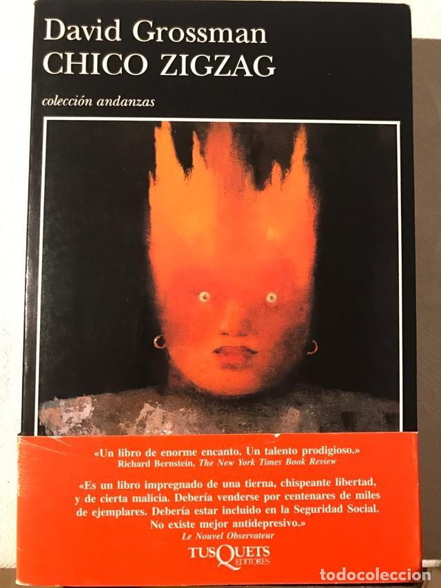 Libros de segunda mano: Chico zigzag. David Grossman - Foto 1