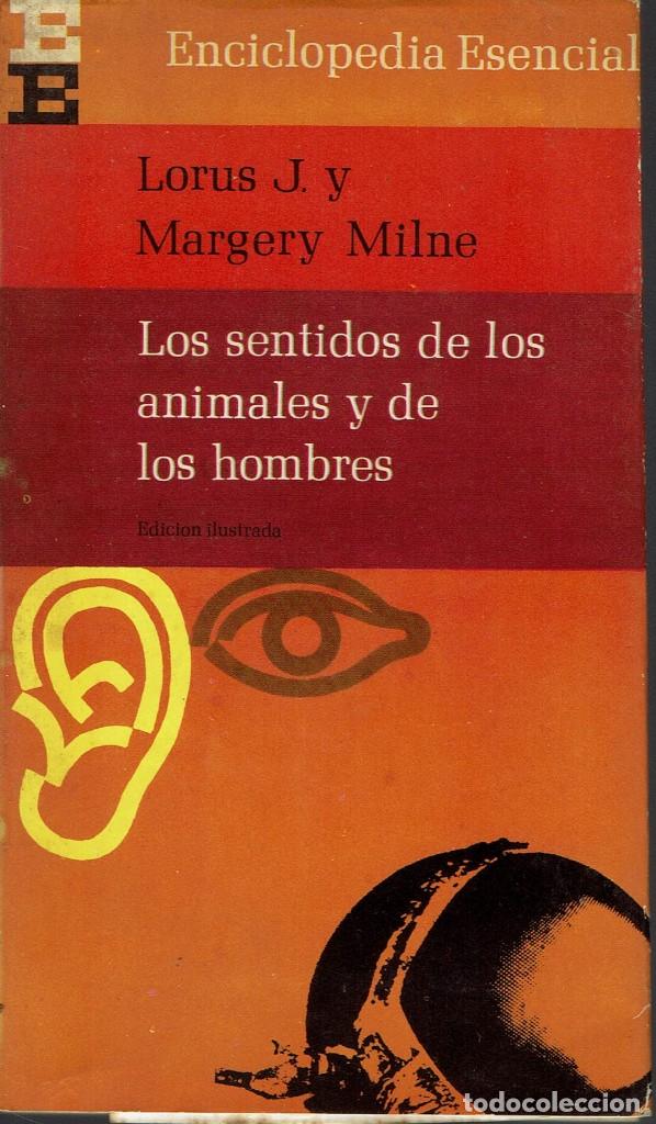 Libri di seconda mano: LOS SENTIDOS DE LOS ANIMALES Y DE LOS HOMBRES, POR LORUS J. Y MARGERY MILNE. A&Ntilde;O 1966. (AC.2.2)
