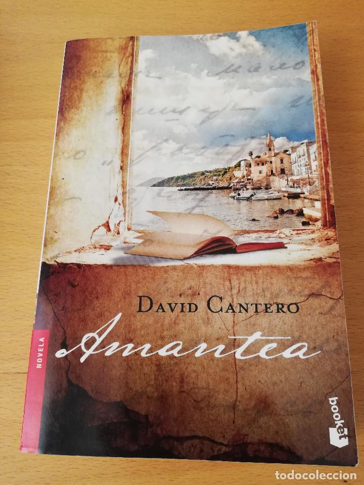 Libros de segunda mano: AMANTEA (DAVID CANTERO) - Foto 1