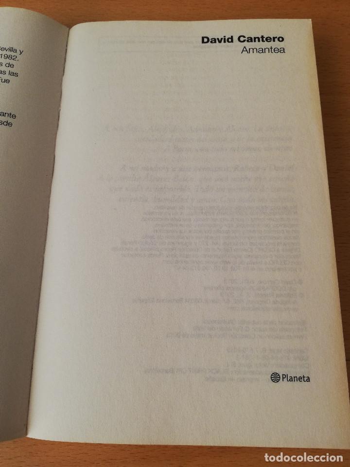 Libros de segunda mano: AMANTEA (DAVID CANTERO) - Foto 2