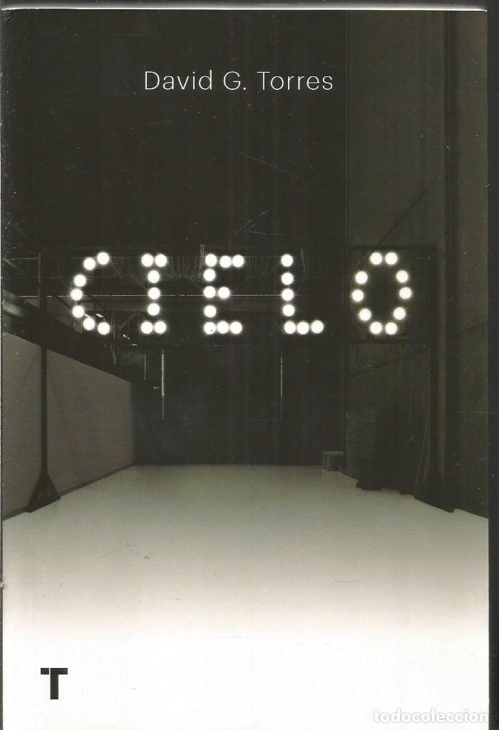 Libros de segunda mano: DAVID G. TORRES. CIELO. TURNER - Foto 1