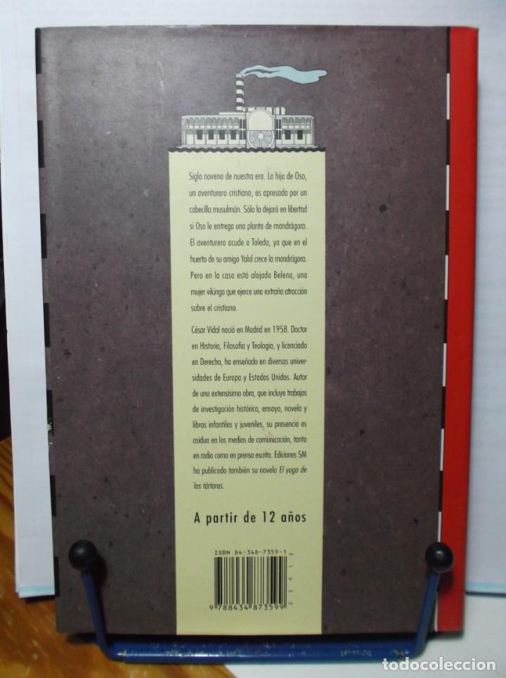 Libros de segunda mano: LA MANDRAGORA DE LAS DOCE LUNAS - CESAR VIDAL - 2000 - Foto 2