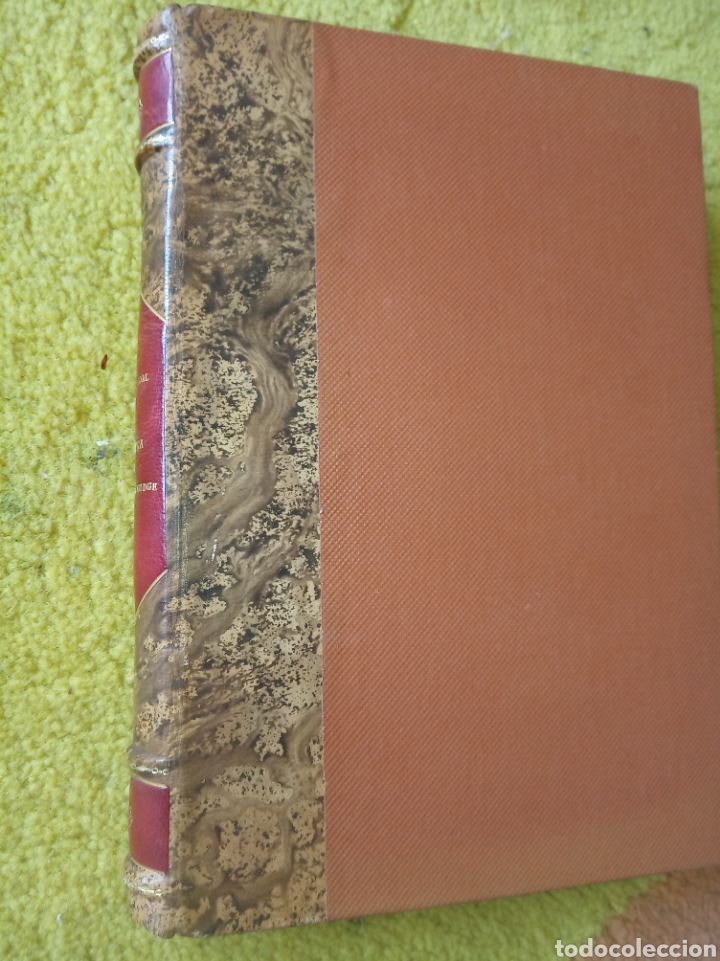 Libros de segunda mano: Myra Breckenridge. Gore Vidal - Foto 2