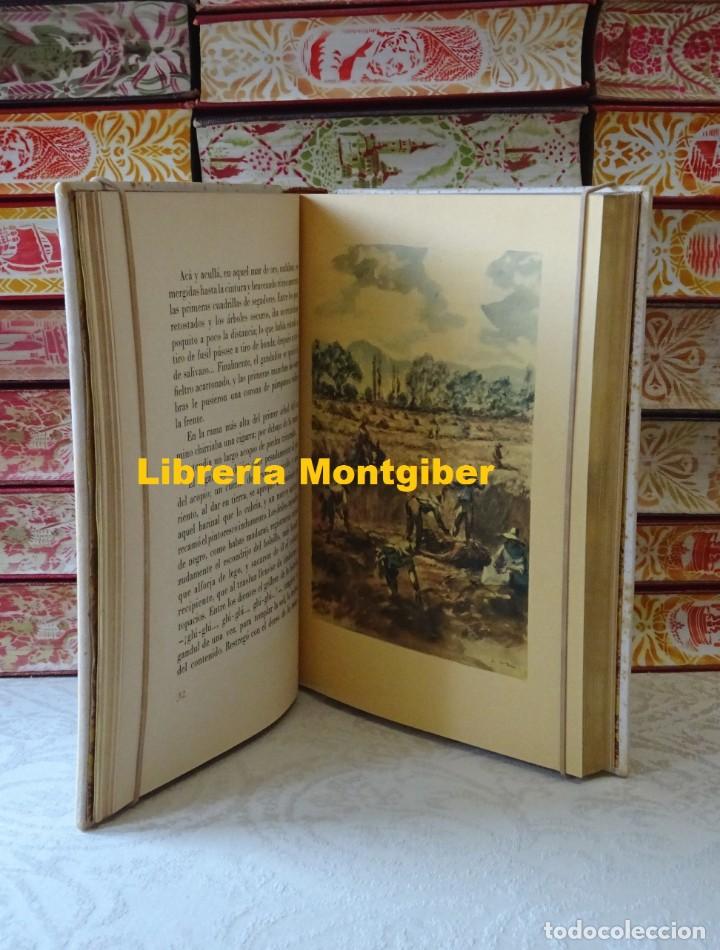 Libros de segunda mano: RETABLO  .  Autor :  Catal&agrave;, Victor - Foto 6