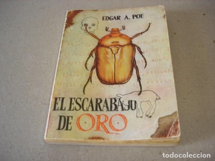 El Escarabajo De Oro Preguntas Y Respuestas