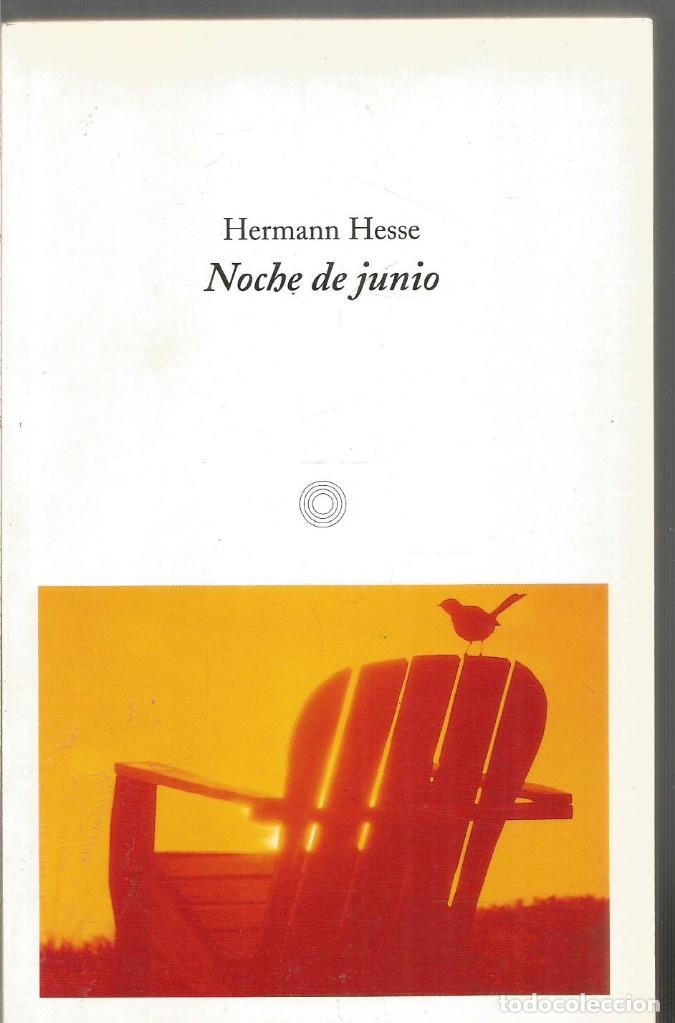 Libros de segunda mano: HERMANN HESSE. NOCHE DE JUNIO. MUCHNIK - Foto 1
