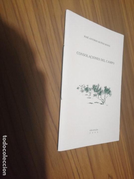 Libros de segunda mano: CONSOLACIONES DEL CAMPO. JOSE ANTONIO MU&Ntilde;OZ ROJAS GRAPA. INSTITUTO ALHAMBRA. No venal. Dificil e2 3