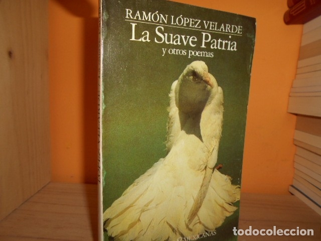 フローチャート 作成 サイト Ver Suave Patria Pelicula Completa (2012