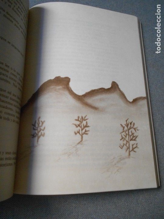 Libros de segunda mano: EN LAS RAICES - Foto 7
