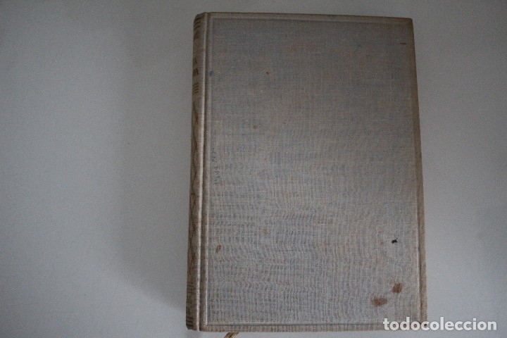 Libros de segunda mano: LA SELVA HUMILLADA - Foto 2