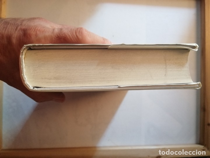 Libros de segunda mano: EL ORIGEN PERDIDO. MATILDE ASENSI. - Foto 4