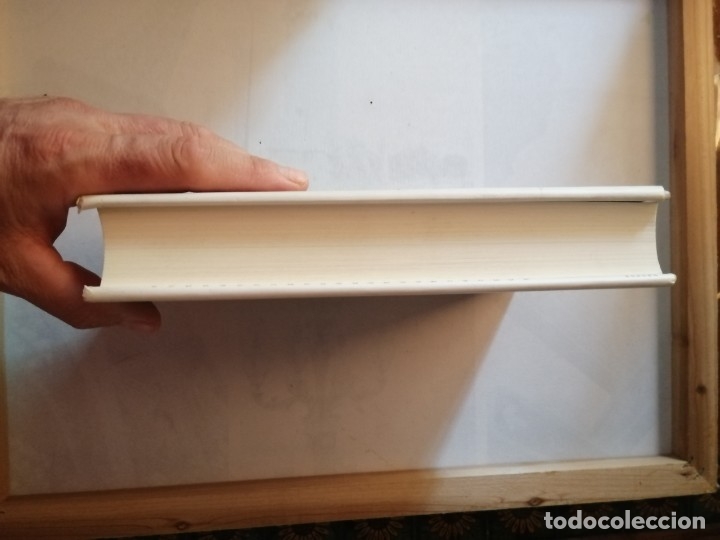 Libros de segunda mano: EL ORIGEN PERDIDO. MATILDE ASENSI. - Foto 5