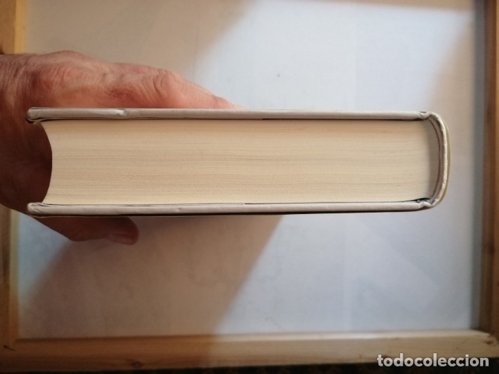 Libros de segunda mano: EL ORIGEN PERDIDO. MATILDE ASENSI. - Foto 6