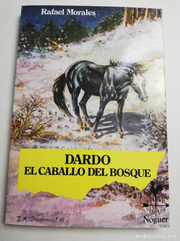 Libros de segunda mano: DARDO, EL CABALLO DEL BOSQUE (RAFAEL MORALES) - Foto 1