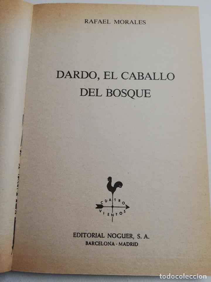 Libros de segunda mano: DARDO, EL CABALLO DEL BOSQUE (RAFAEL MORALES) - Foto 2