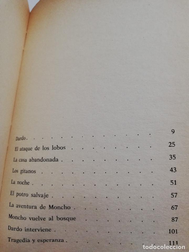 Libros de segunda mano: DARDO, EL CABALLO DEL BOSQUE (RAFAEL MORALES) - Foto 3