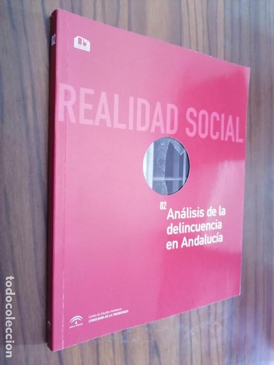 Libros de segunda mano: REALIDAD SOCIAL. 02. ANALISIS DE LA DELINCUENCIA EN ANDALUCIA. R&Uacute;STICA. BUEN ESTADO. DIFICIL.  2006