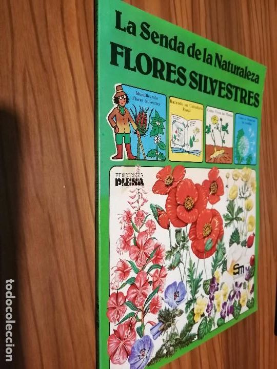 Libros de segunda mano: LA SENDA DE LA NATURALEZA. FLORES SILVESTRES. SM. R&Uacute;STICA. BUEN ESTADO caj. 147
