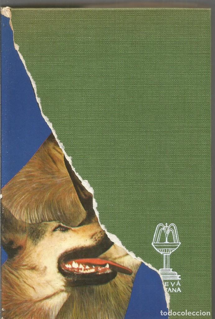 Libros de segunda mano: ROBERT CALDER. LOS PERROS. MARTINEZ ROCA - Foto 1